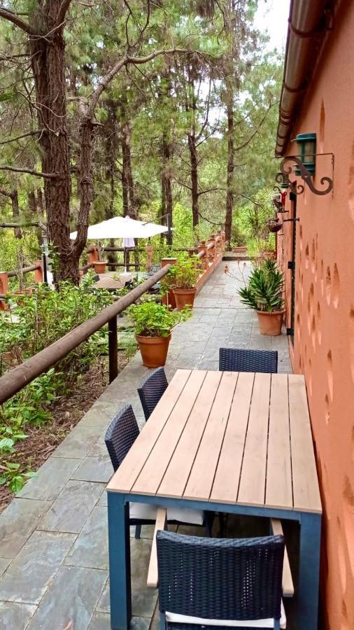 Casa Rural En Medio Del Bosque, El Lance Firgas Exteriér fotografie