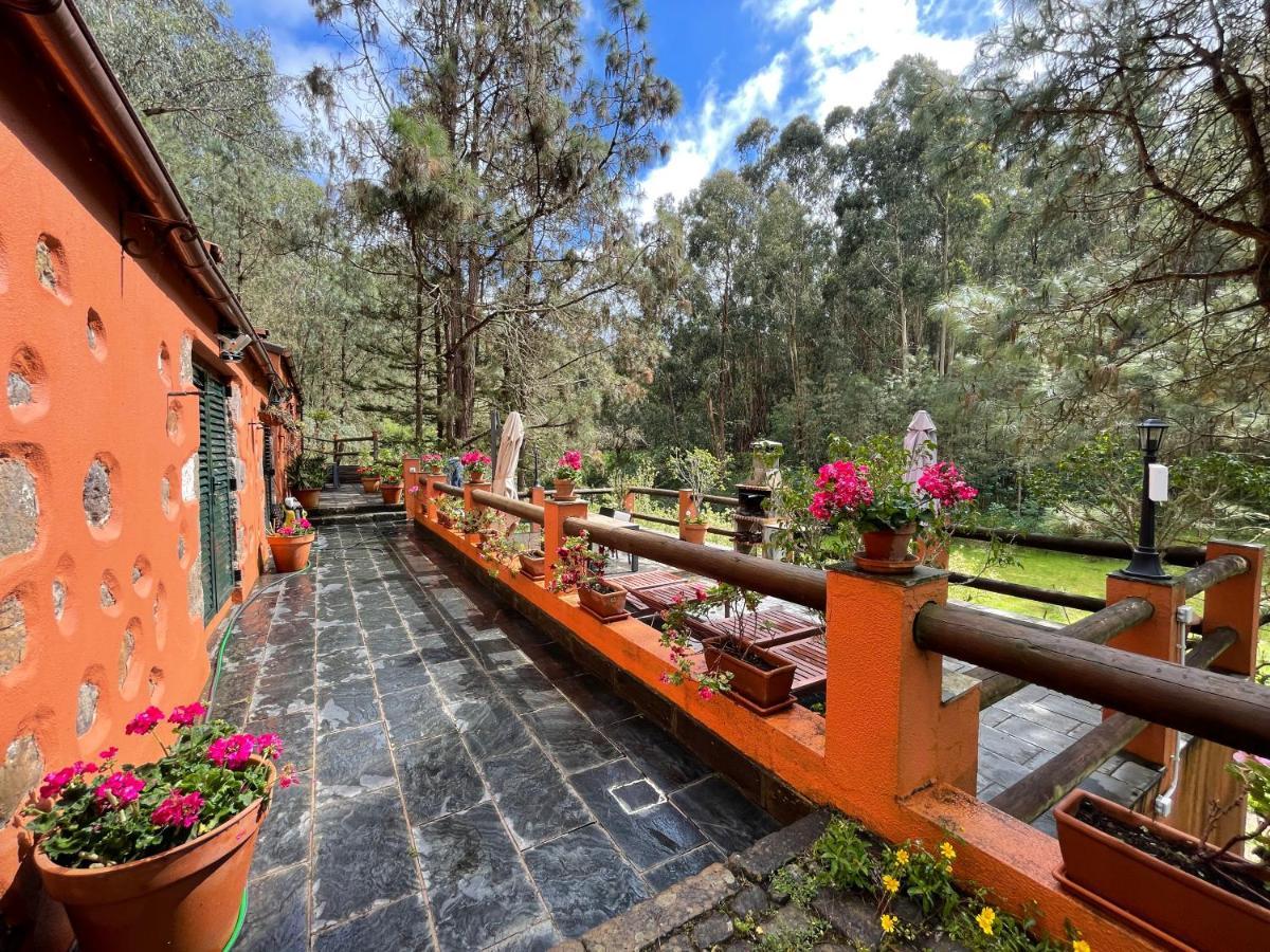 Casa Rural En Medio Del Bosque, El Lance Firgas Exteriér fotografie
