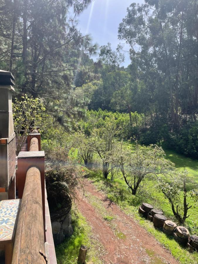 Casa Rural En Medio Del Bosque, El Lance Firgas Exteriér fotografie
