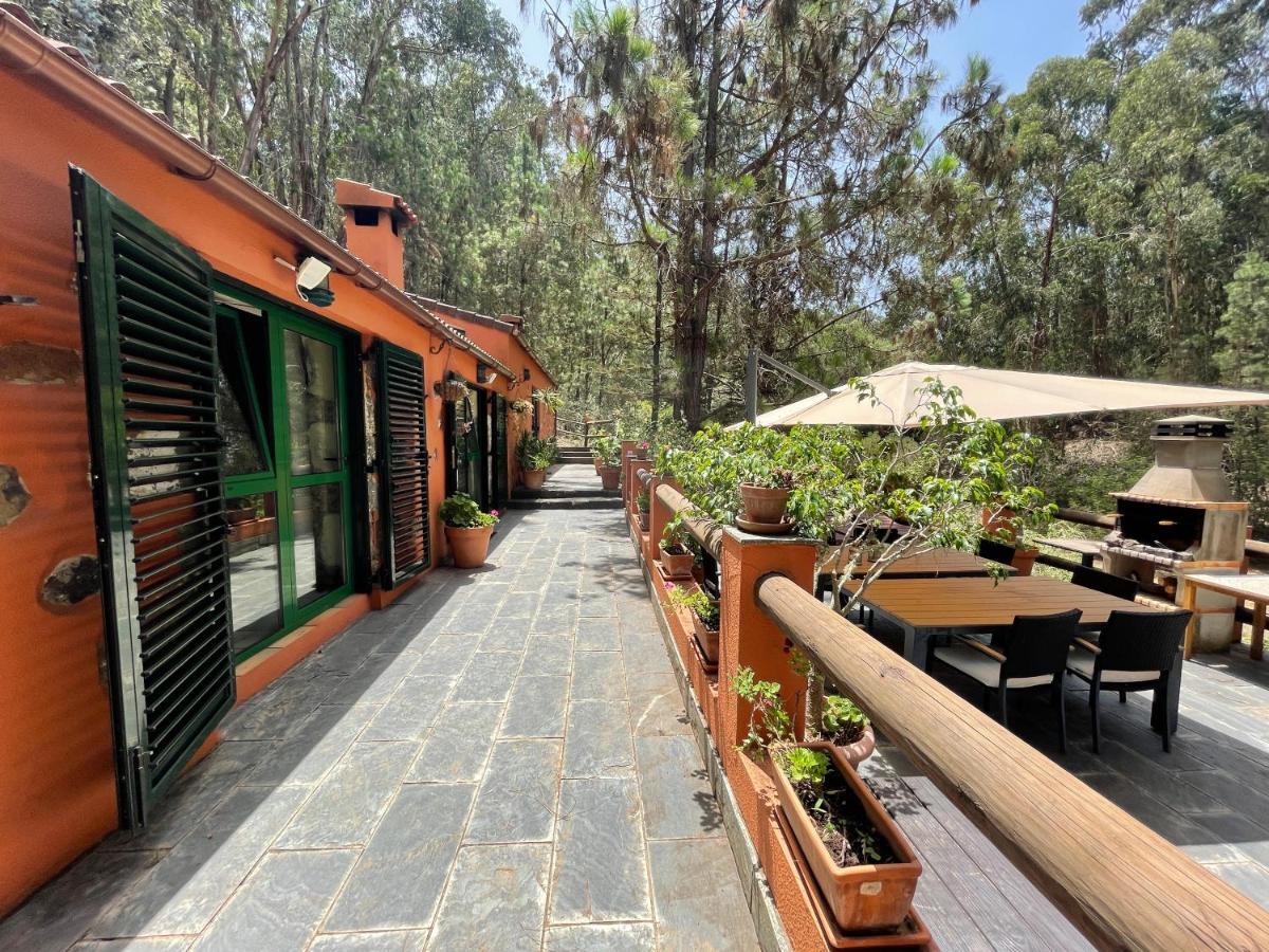 Casa Rural En Medio Del Bosque, El Lance Firgas Exteriér fotografie