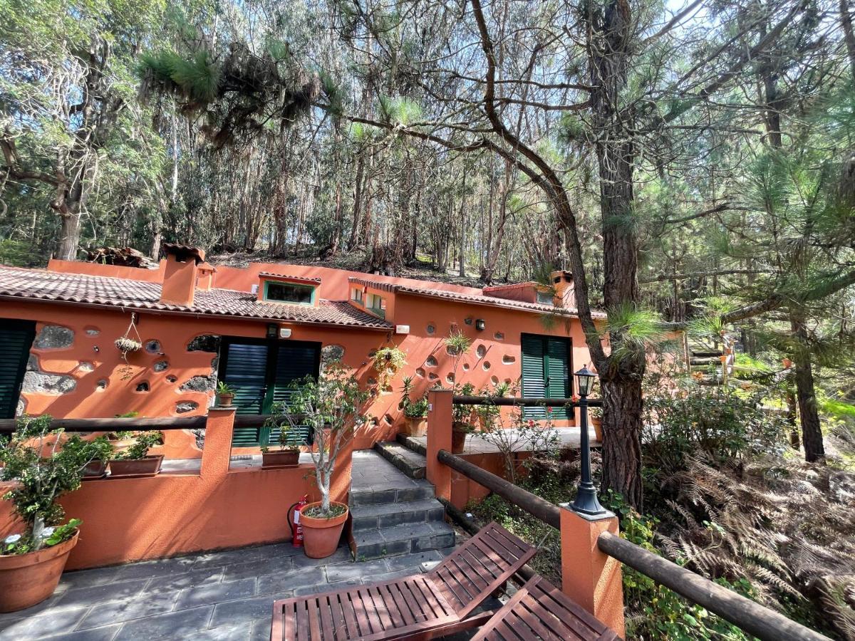 Casa Rural En Medio Del Bosque, El Lance Firgas Exteriér fotografie