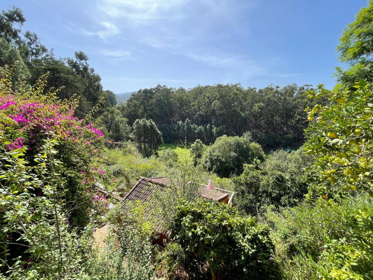 Casa Rural En Medio Del Bosque, El Lance Firgas Exteriér fotografie