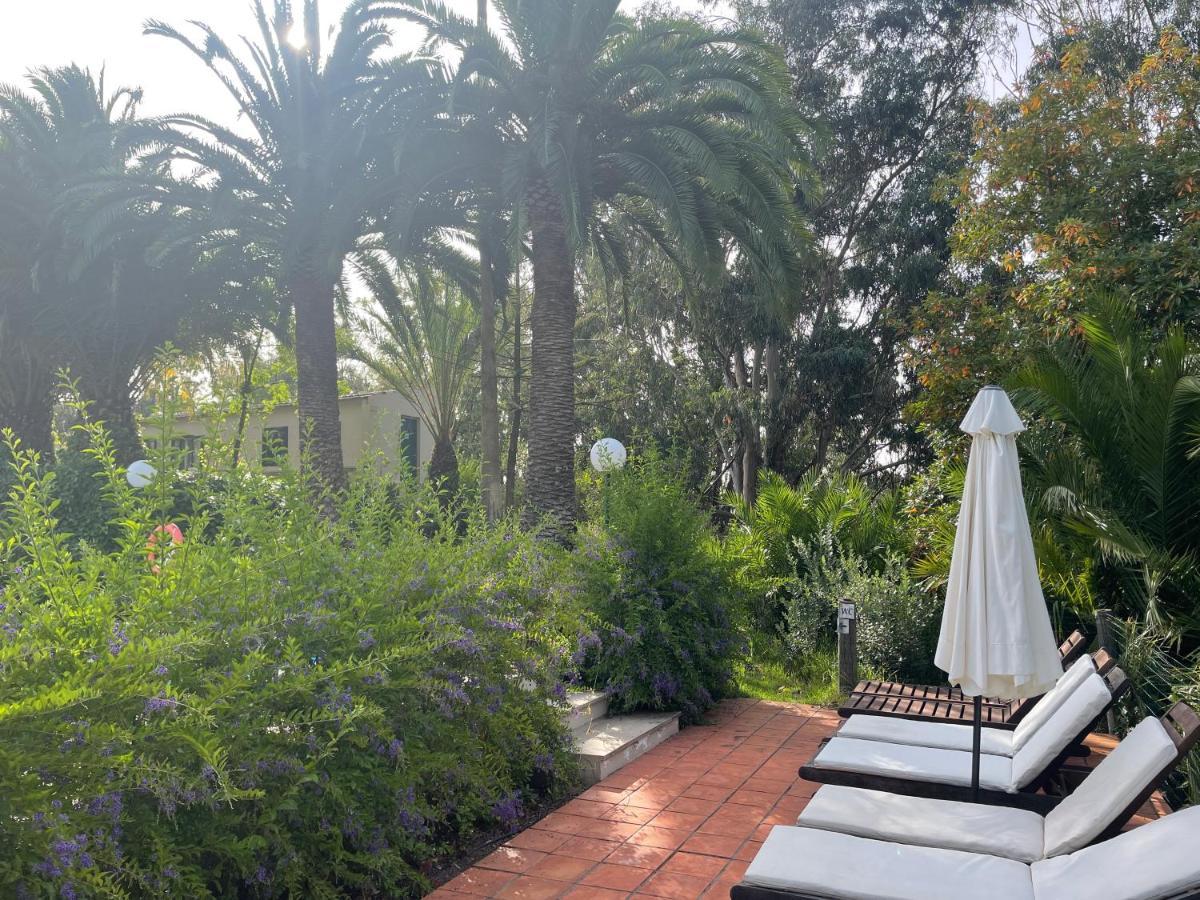 Casa Rural En Medio Del Bosque, El Lance Firgas Exteriér fotografie