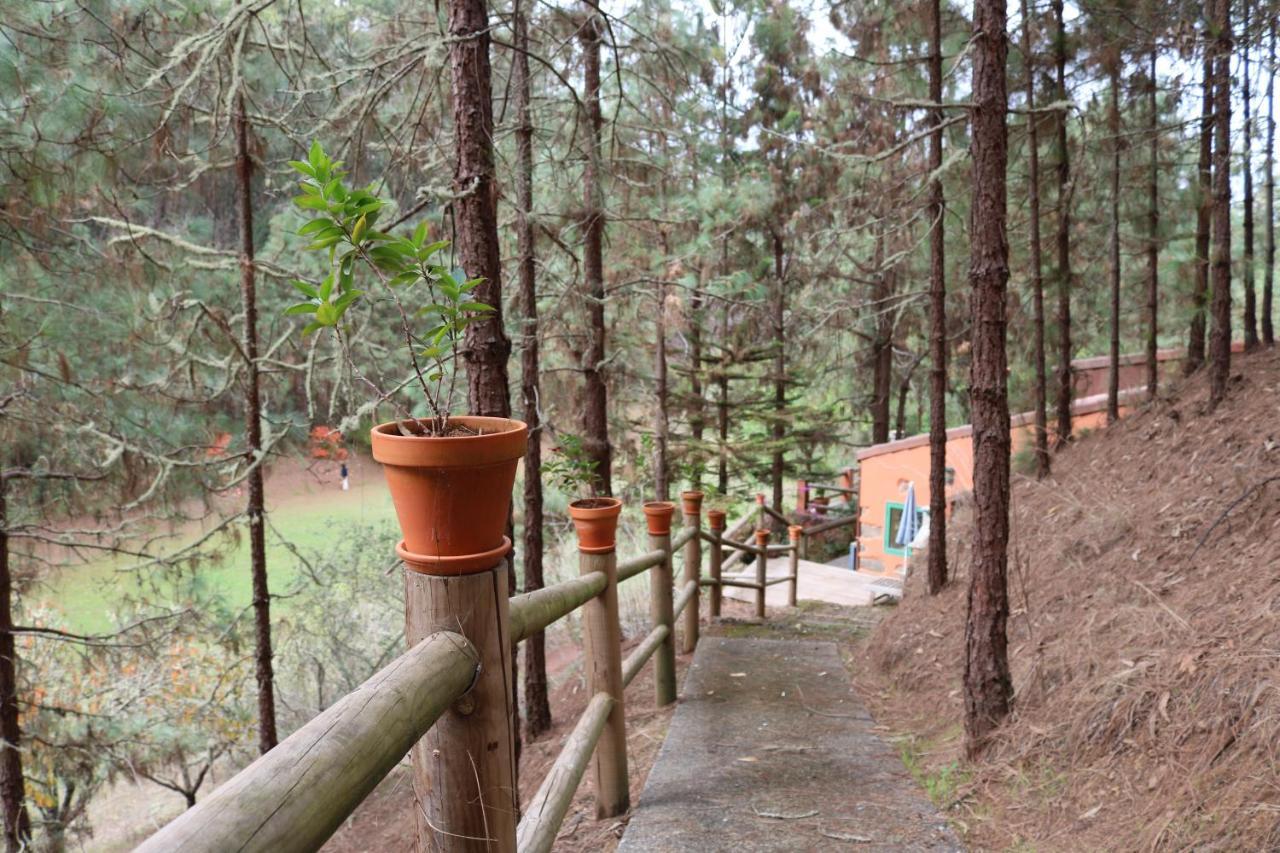 Casa Rural En Medio Del Bosque, El Lance Firgas Exteriér fotografie