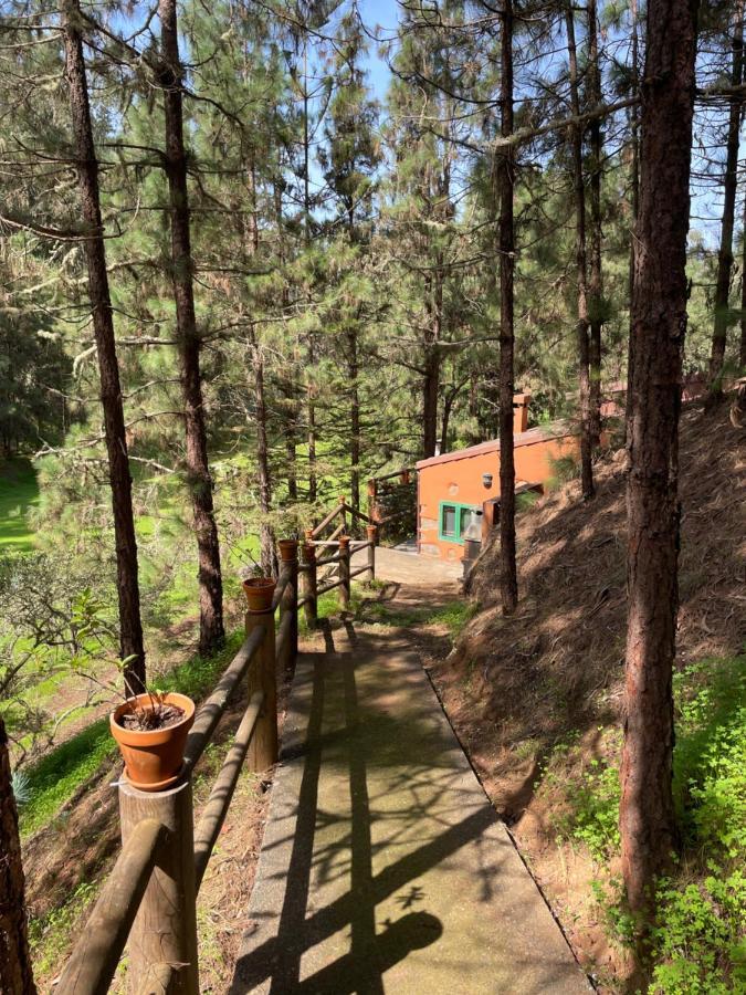 Casa Rural En Medio Del Bosque, El Lance Firgas Exteriér fotografie