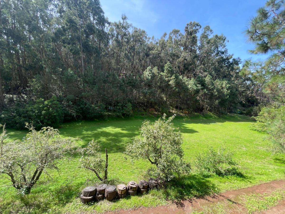 Casa Rural En Medio Del Bosque, El Lance Firgas Exteriér fotografie