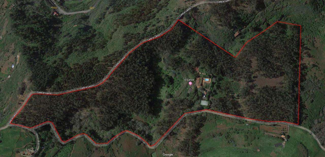 Casa Rural En Medio Del Bosque, El Lance Firgas Exteriér fotografie