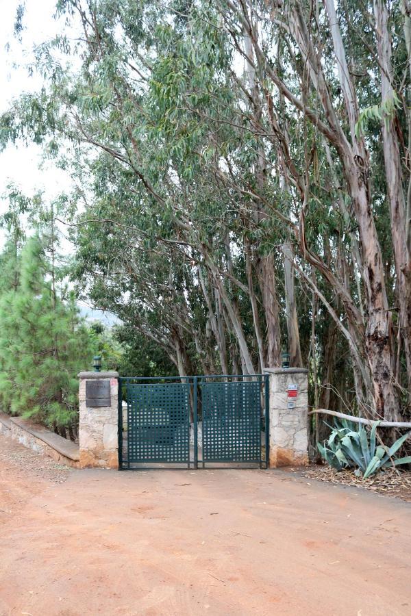 Casa Rural En Medio Del Bosque, El Lance Firgas Exteriér fotografie